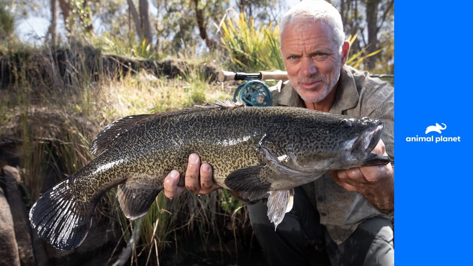 Jeremy Wade: V temných vodách S1E3 - Predátor z doby ledové