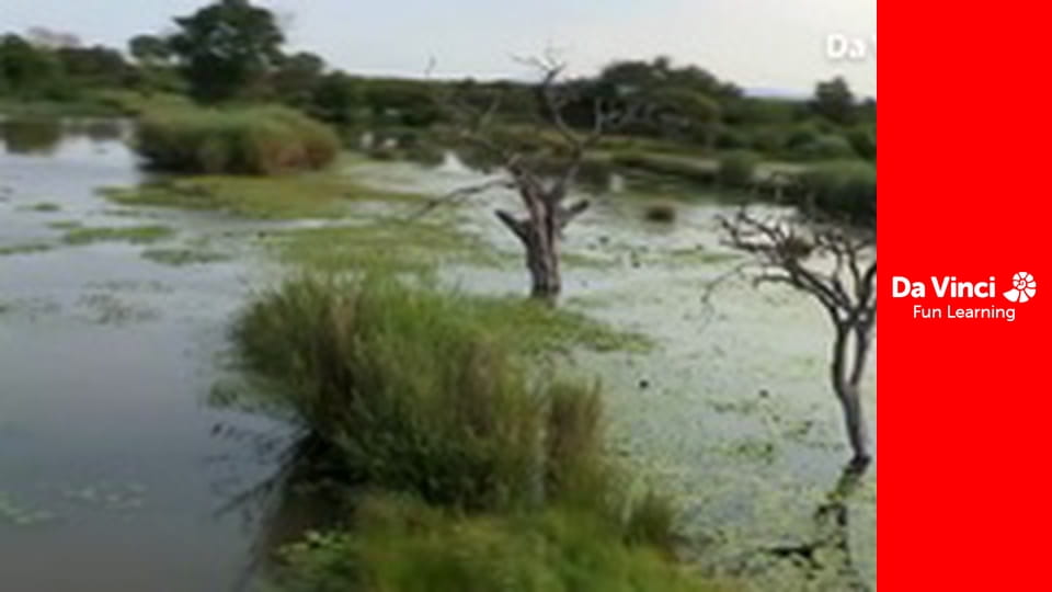 Сіяя - Рушайте з нами - Водна гора