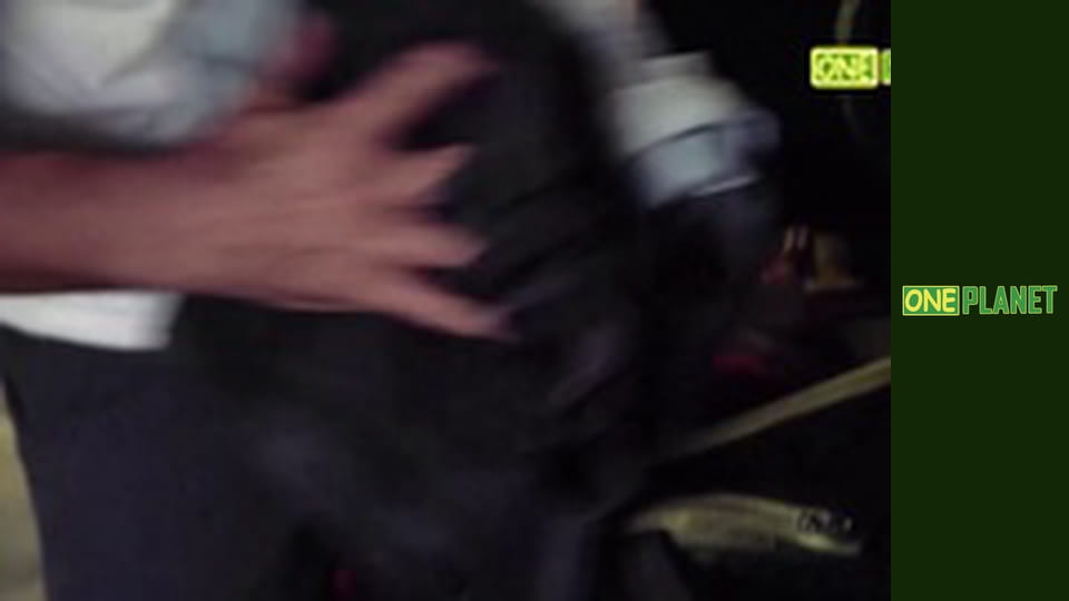 Экстрим для чайников, 9 эп.