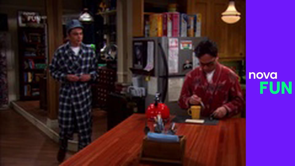 Teorie velkého třesku S5E4 - Relativita triviálních rozhodnutí