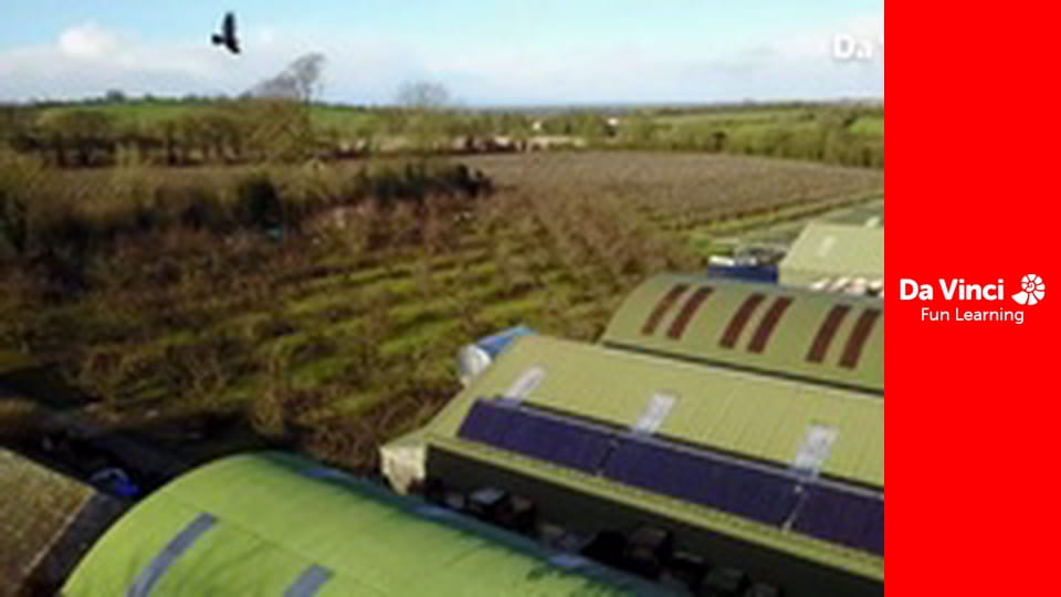 Футуріс - Нова технологія підживлює харчову індустрію