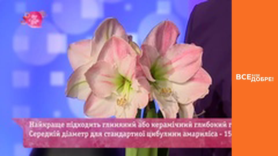 Сезон 4, Випуск 53, частина 3