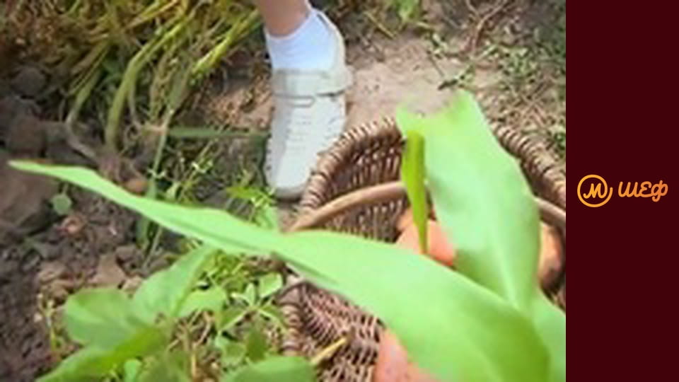 Сезон 6, Выпуск 4, Часть 8