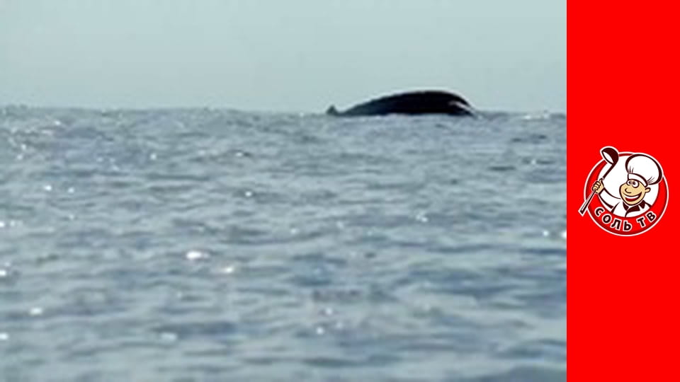 Рейчел Кху: Моя шведська кухня, 4 еп. Швеція.