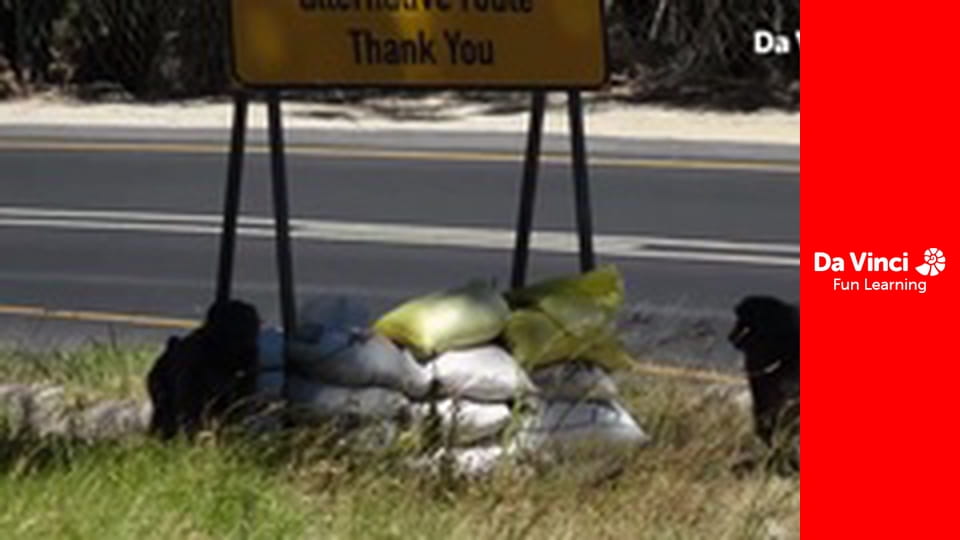 Сияя - Дикий мыс - Природный заповедник Готтентотс-Голланд - на крыльях ангела