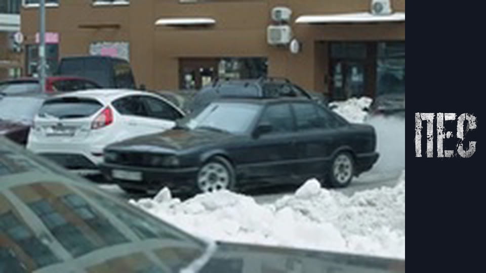 Dog, Season 6, Episode 38