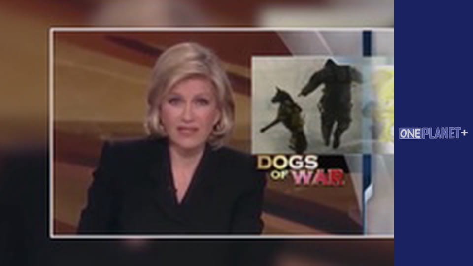 Ваш фантастичний розум, Сезон 1, Випуск 3