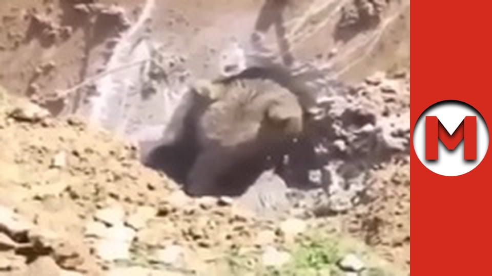 Max TV - сезон 5 - серія 27