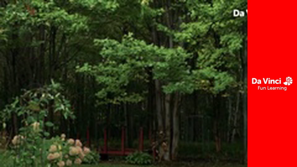 Вибухова наука - Вертке насіння