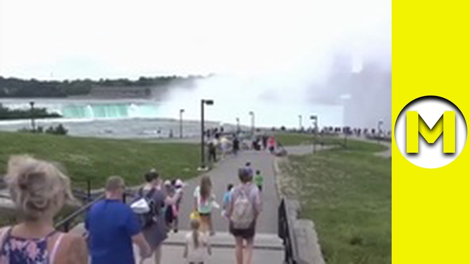 Max TV - сезон 2 - серія 33