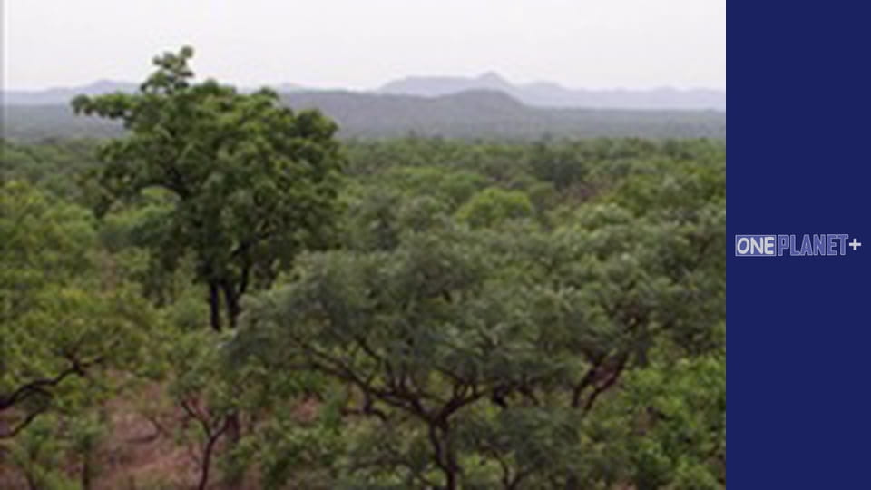 Просто неба - Національні парки. - серия 1