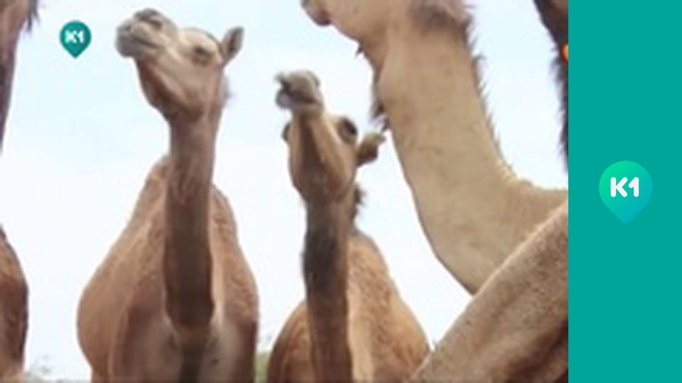 "Так не буває".