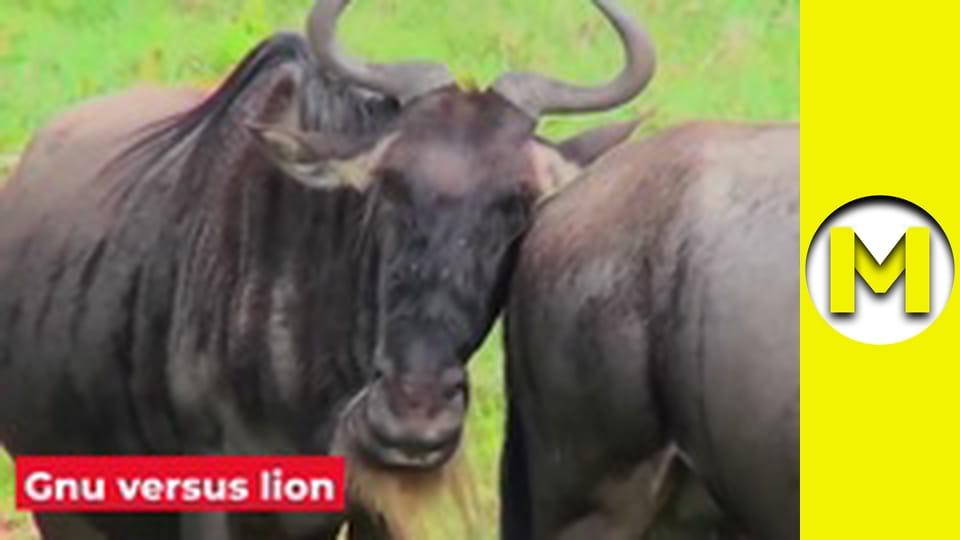 Цікаво (Max TV) - сезон 1 - серія 3