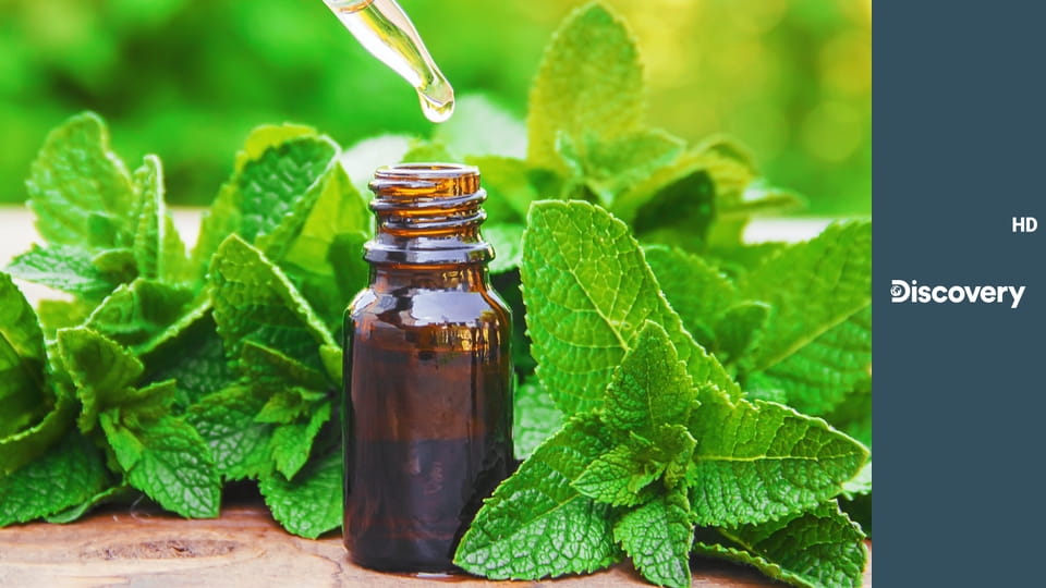 Как это сделано? S16E8