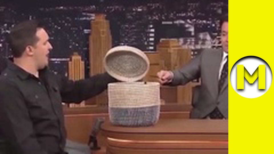 Max TV - сезон 1 - серия 25