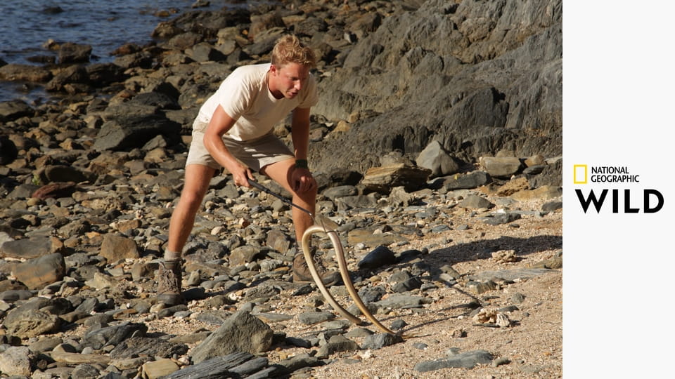 В неизвестность с Джеком Рэнделлом S1E5 - Самые ядовитые змеи в мире