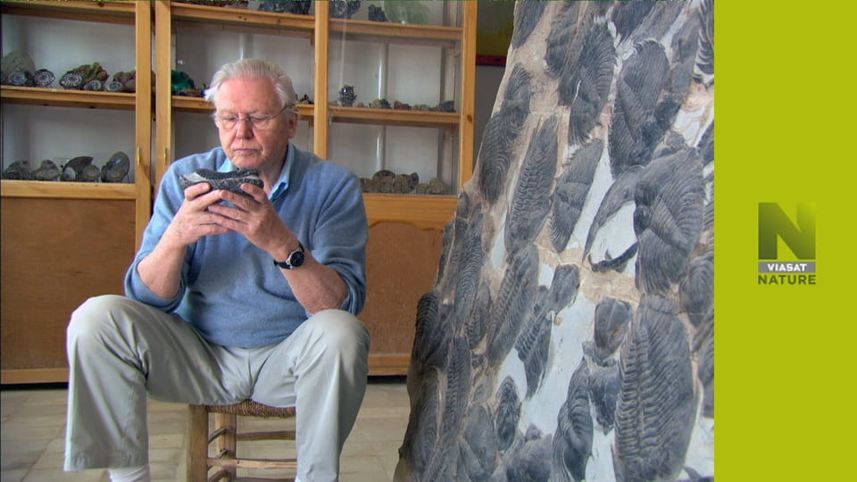 Глобальні пригоди Аттенборо S1E1 - Глобальна пригода Аттенборо