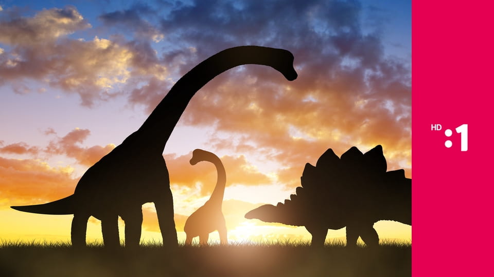 Desivé dinosaury E7