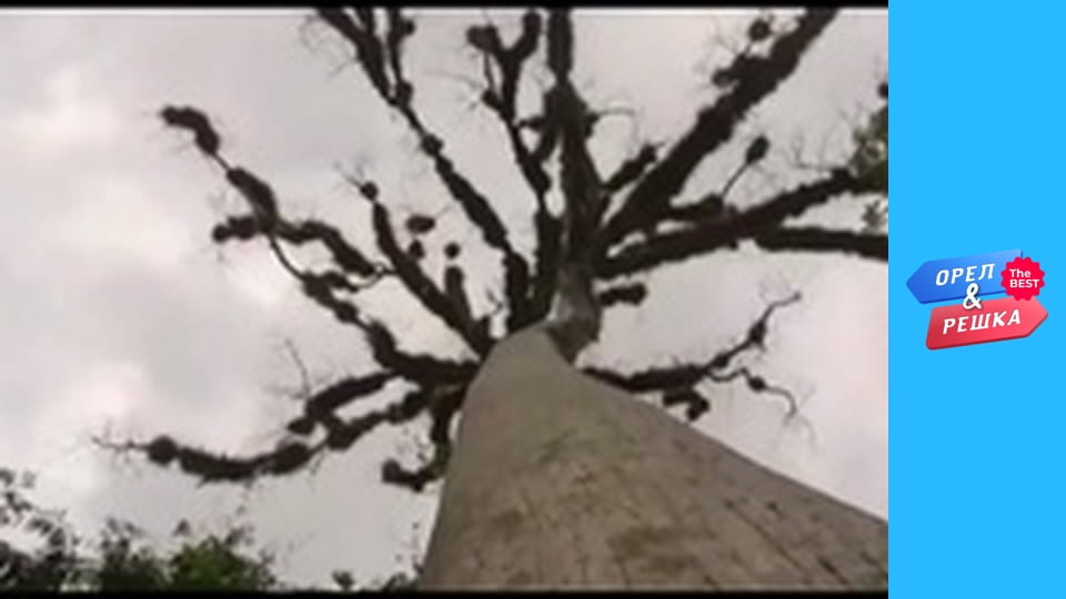 Золотая карта, Выпуск 106