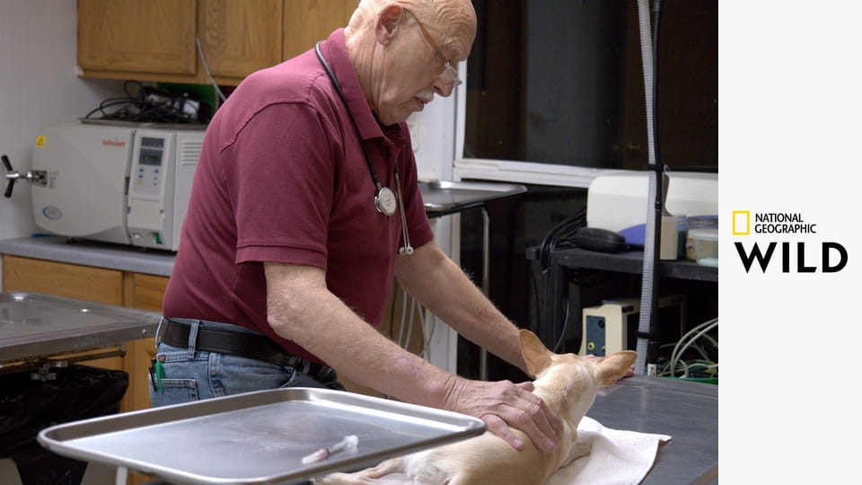 Невероятный доктор Пол S21E1 - Лотки и блейдеры