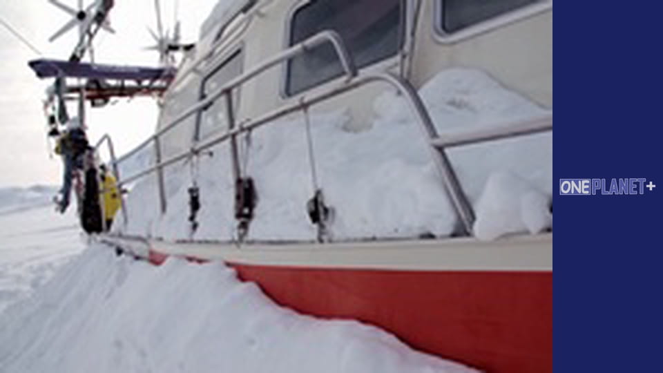 У пошуках знань. - серия 8