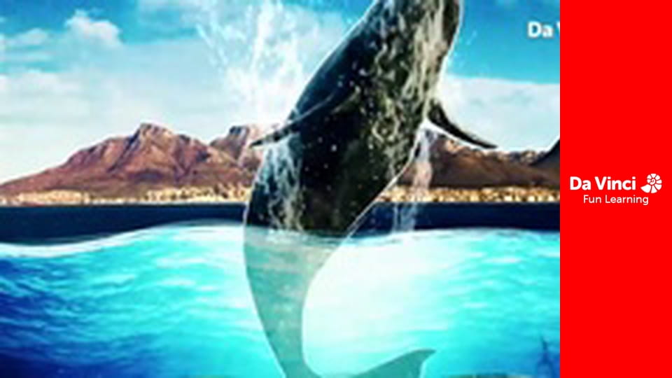 Сияя - Отправьтесь с нами - По следу Великой змеи - Часть 1: Змеиный гнездо