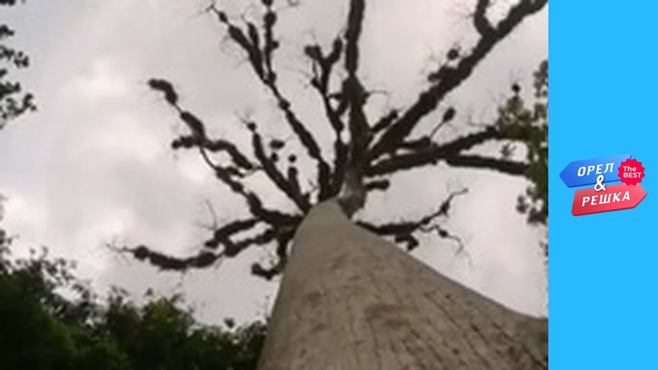 100 долларов, Выпуск 135