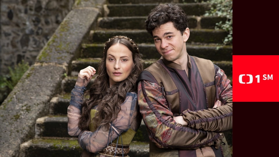 Jak si nevzít princeznu