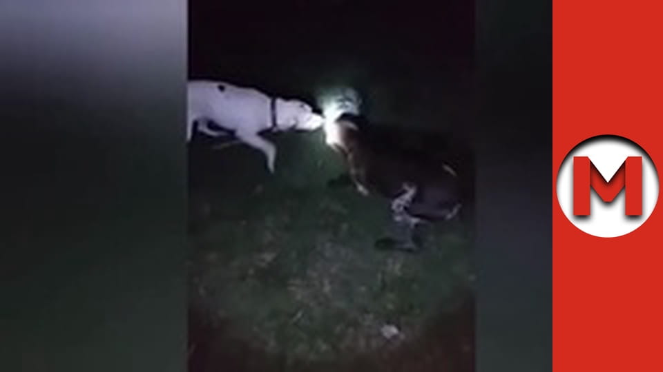 Max TV - сезон 5 - серія 14