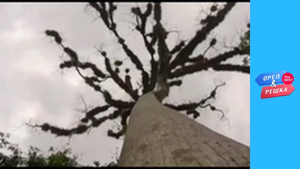 Золотая карта, Выпуск 135