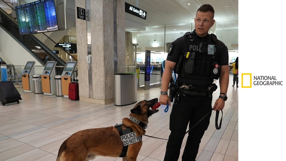 Letiště: Ztráty a nálezy S1E7 - Staré fotky a nový Student