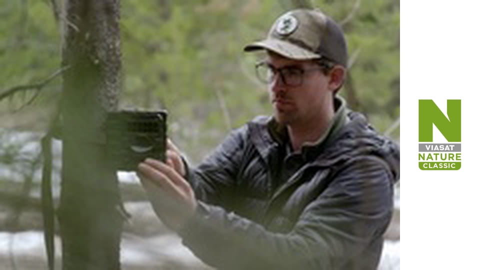 The Rockies' Wild Corridor: From Yellowstone To Yukon Season 1 Episode 2