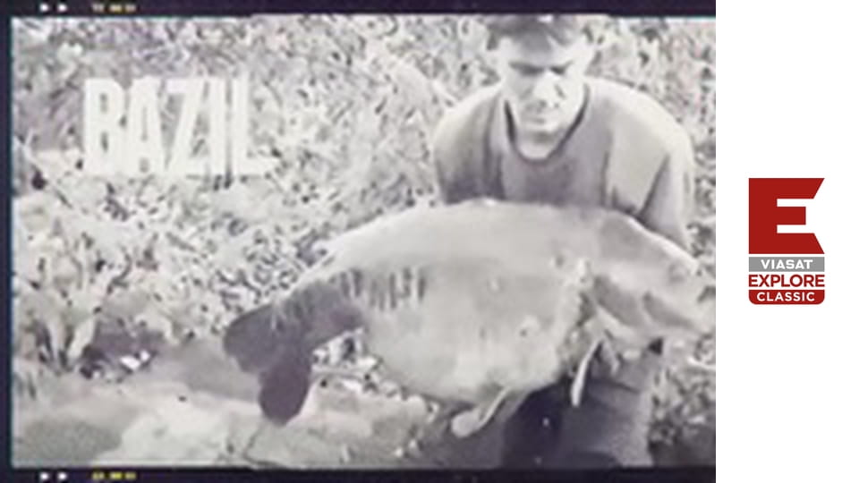 Короп-монстр - Сезон 5 - Обʼєднане королівство