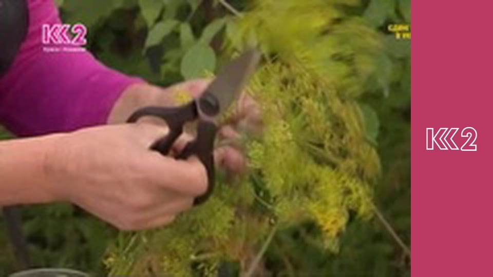 Шість соток S1E32