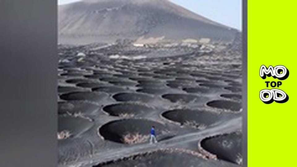 TopMood - Випуск 87