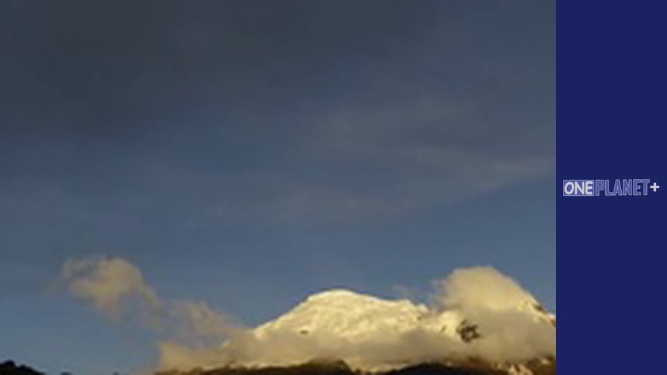 Сила природи, Сезон 1, Випуск 5