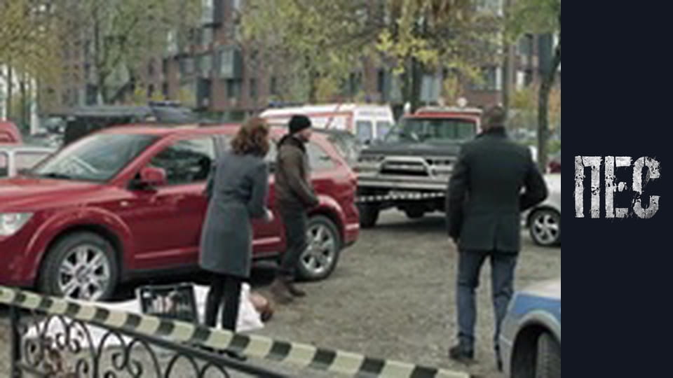 Пёс, Сезон 6, Серия 20