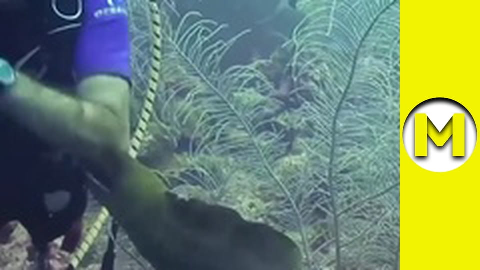 Max TV - сезон 1 - серія 96