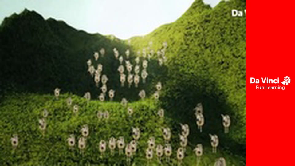 Siyaya - Wildest Cape - Lambert's Bay Bird Island - Where The Birds Are In Charge