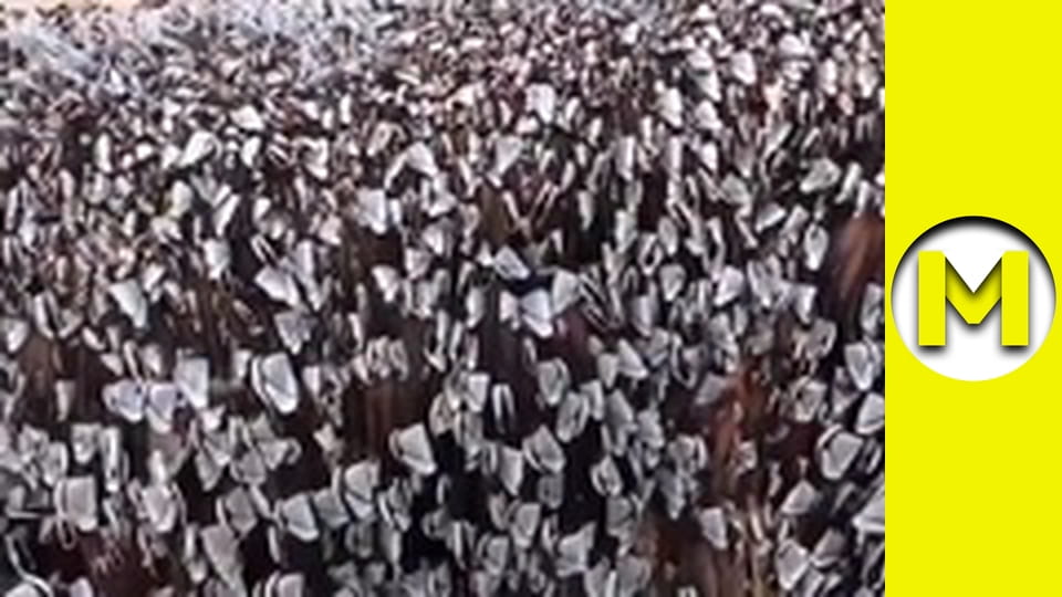 TOP (Max TV) - сезон 3 - серія 22