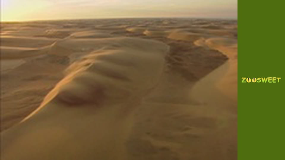 Знайомство з дикою природою, Випуск 18