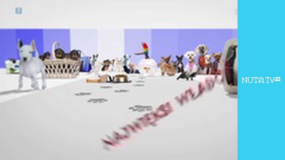 Zakręcone stworzonka z Internetu