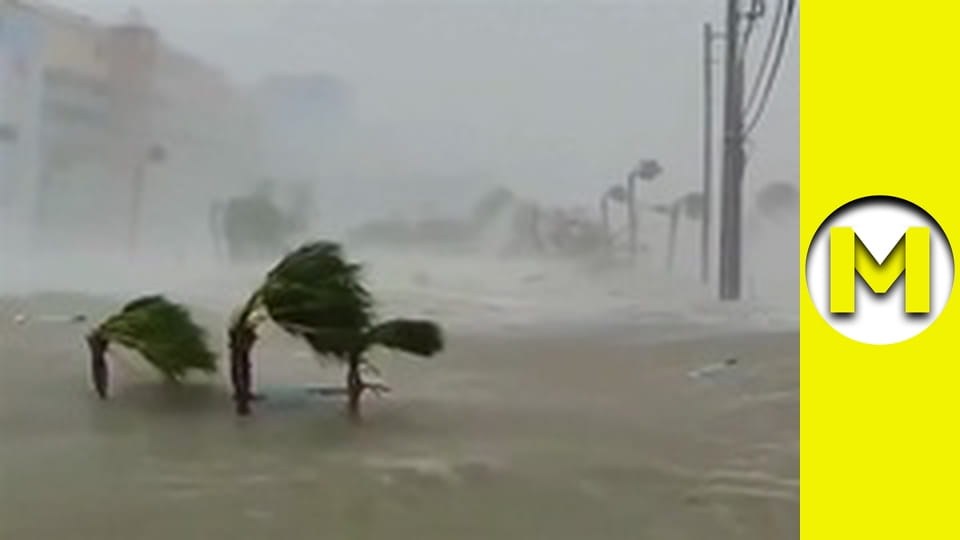 TOP (Max TV) - сезон 3 - серія 52