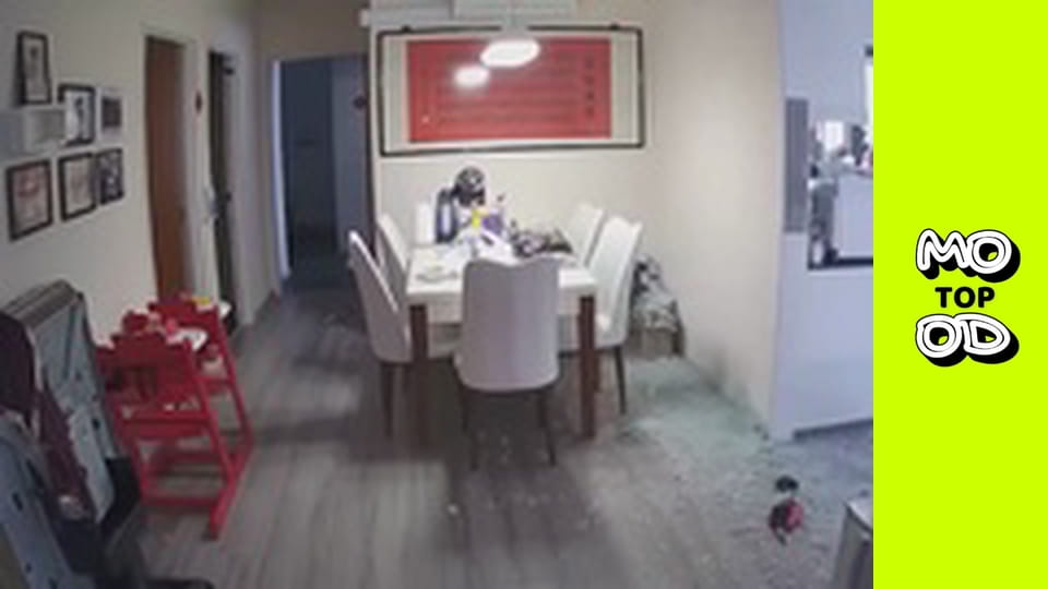 Top Mood, Сезон 2, Випуск 54