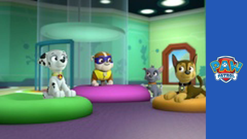 Paw Patrol Season 1 Episode 19