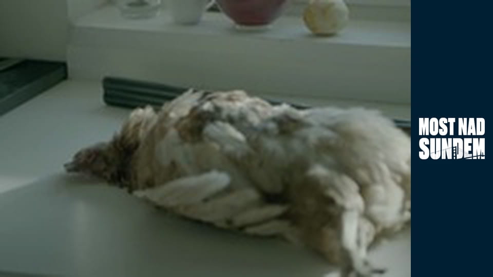 The Bridge Season 2 Episode 7