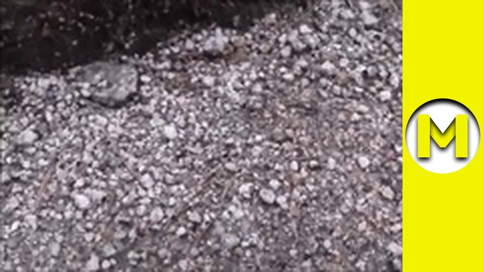 Max TV - сезон 1 - серія 10