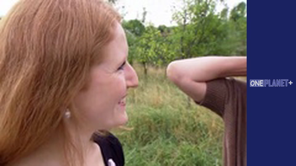 Искусство Пространства. - cерия 5