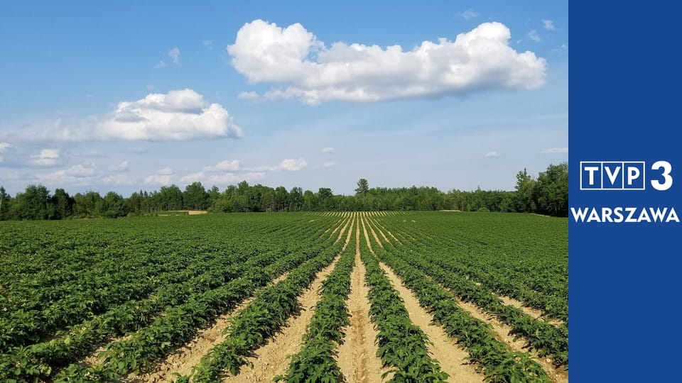 Agrobiznes