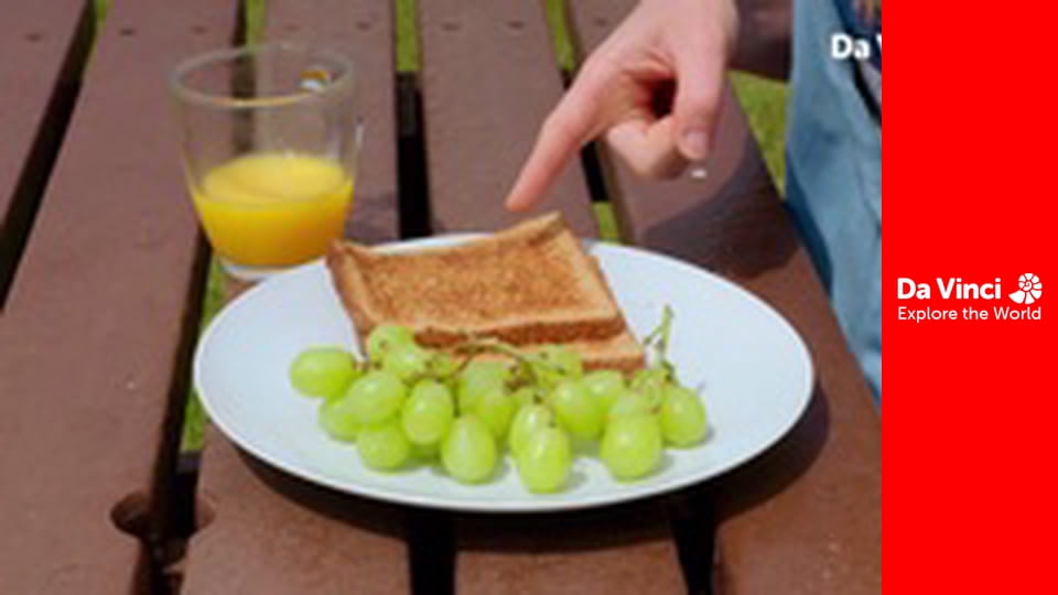 Știi oare? - Maddie, grădina zoologică și tu - De ce mâncăm?